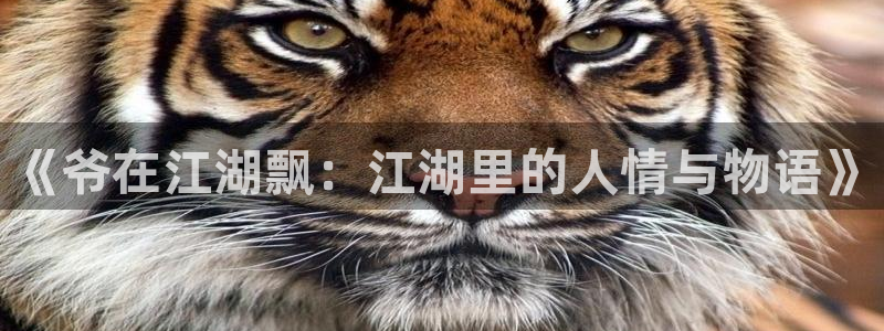 樱花漫画人物