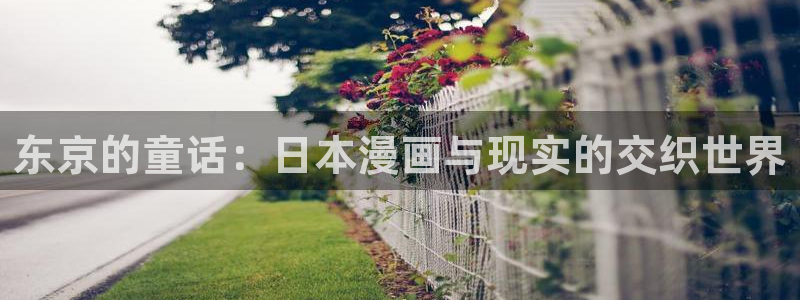 杜鹃的婚约樱花漫画：东京的童话：日本漫画与现实的交织世界