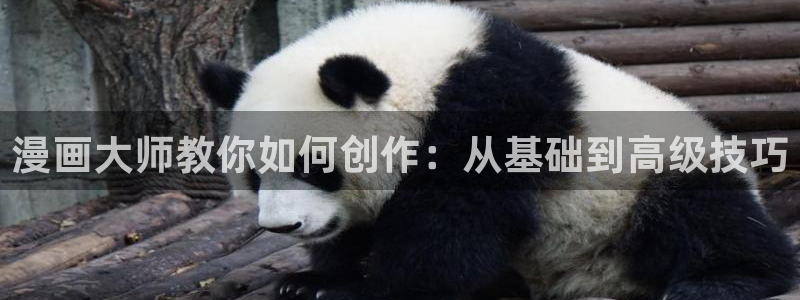 樱花漫画专注动漫的门户网站：漫画大师教你如何创作：从基础到高级技巧